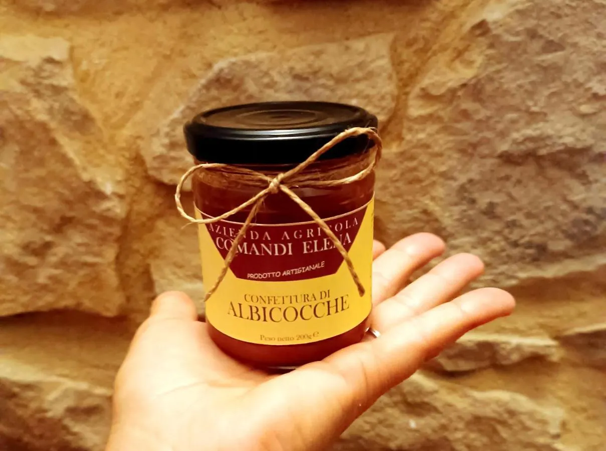 Çiftlik konaklama Pian Di Rocca Country Villa Castiglione della Pescaia İtalya