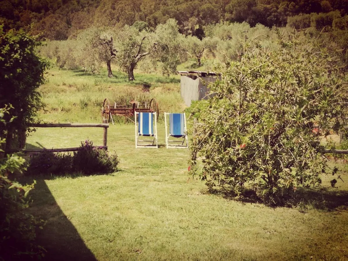 Alloggio per agriturismo Villa Pian di Rocca Country Castiglione della Pescaia Italia